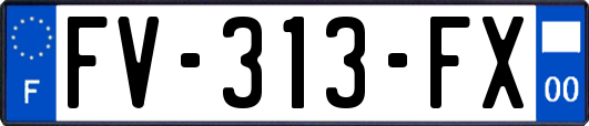 FV-313-FX