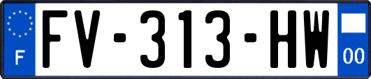 FV-313-HW