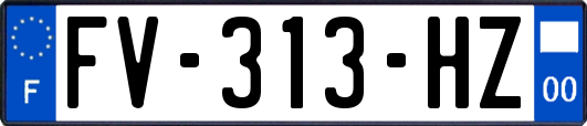 FV-313-HZ