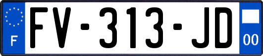 FV-313-JD
