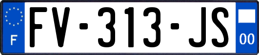 FV-313-JS