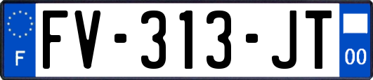 FV-313-JT