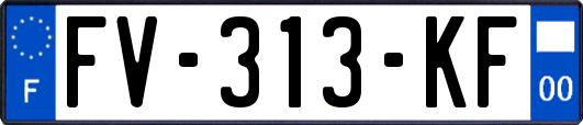 FV-313-KF