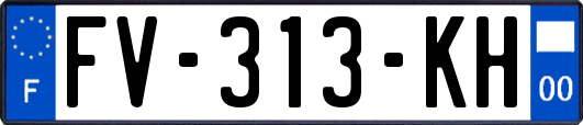 FV-313-KH