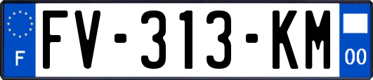FV-313-KM