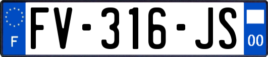 FV-316-JS