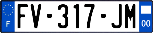 FV-317-JM
