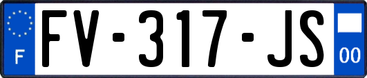 FV-317-JS