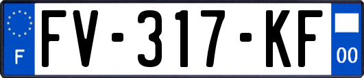 FV-317-KF