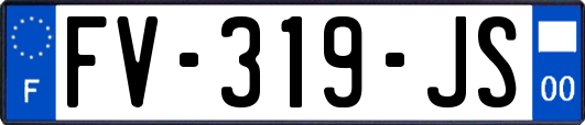 FV-319-JS