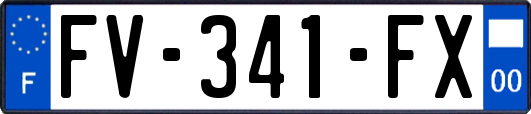FV-341-FX