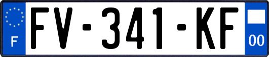 FV-341-KF