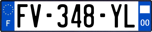 FV-348-YL