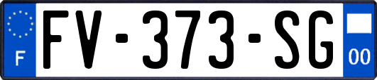 FV-373-SG
