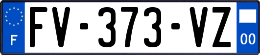 FV-373-VZ