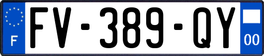 FV-389-QY