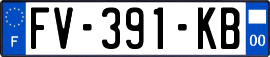 FV-391-KB