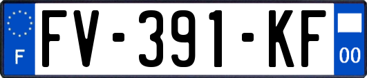 FV-391-KF