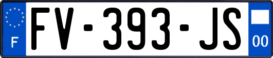 FV-393-JS
