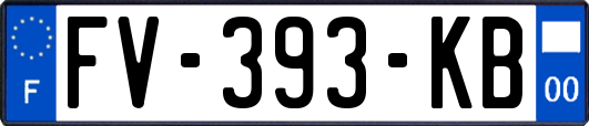 FV-393-KB