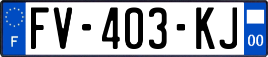 FV-403-KJ