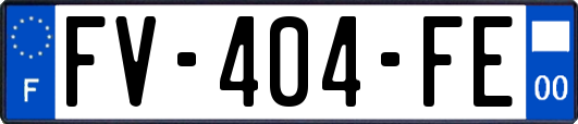 FV-404-FE
