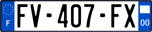 FV-407-FX