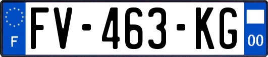 FV-463-KG