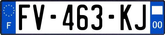 FV-463-KJ