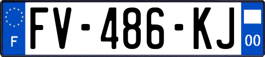 FV-486-KJ