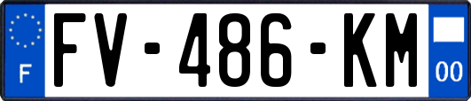 FV-486-KM