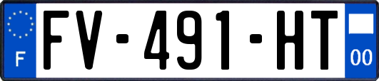FV-491-HT