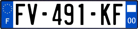 FV-491-KF