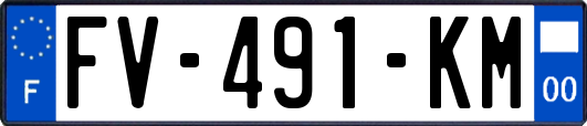 FV-491-KM