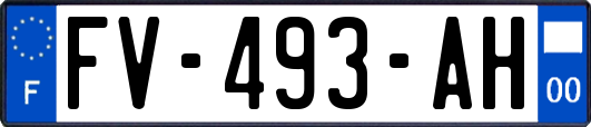 FV-493-AH