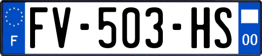 FV-503-HS