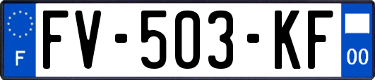 FV-503-KF