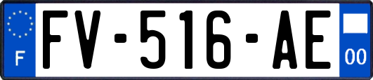 FV-516-AE