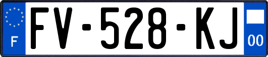 FV-528-KJ