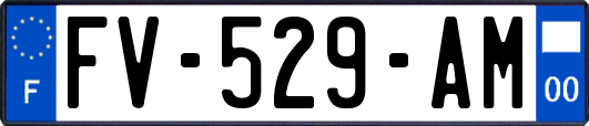 FV-529-AM