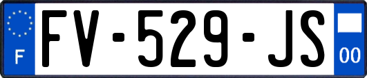 FV-529-JS
