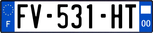FV-531-HT
