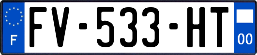 FV-533-HT
