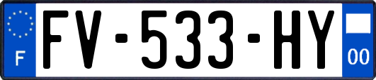 FV-533-HY