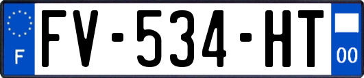 FV-534-HT