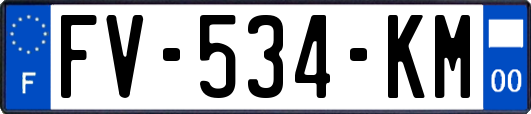 FV-534-KM