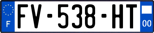 FV-538-HT