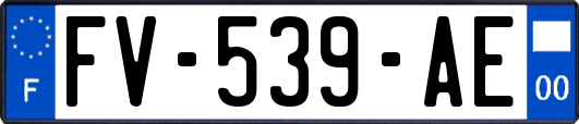 FV-539-AE