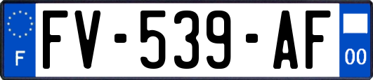 FV-539-AF