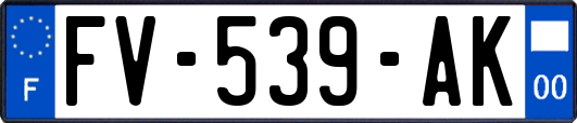 FV-539-AK
